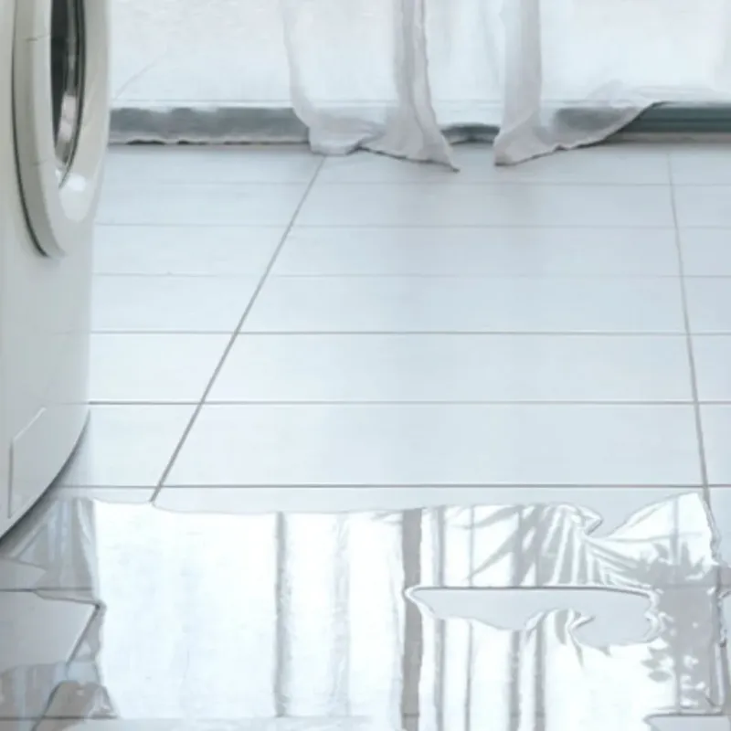 Appliance Leak Cleanup in Glen Gardner, NJ